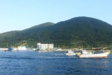 겨울 남해 꽁치 어장에 꽁치가 없다, 왜?