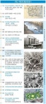 [서면 구역별 특화재생] 소비 1번지에 가려진 미래 도심 가능성을 발굴하라
