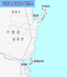 [기장권 호래기 낚시] 찬바람 불자 돌아온 호래기, 시즌 초반이라 아직 씨알 작아