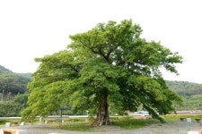 렛츠런파크 부산경남, 마을주민과 당산제 개최