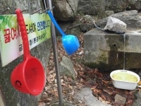 주민 반발 두려워 대장균 약수터 방치한 구청