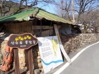 [일상탈출] 구례 산수유 마을