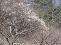 [산&산]  원동 토곡산