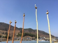 [S&T 해안누리 국토대장정] 23. 광양 관동마을~돈탁마을