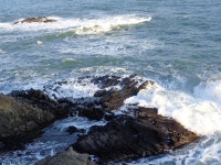 [일상탈출] 경주 읍천항~감포항