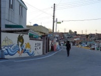 [일상탈출] 경주 읍천항~감포항