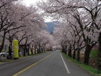 [일상탈출] 삼랑진 여행