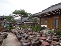 [일상탈출] 순창 강천산