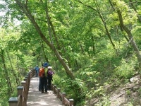 [산&길] <503> 보성 제암산자연휴양림