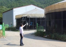 돼지 농장 악취 솔로몬 지혜 없나요