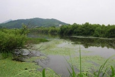김해시, 화포천습지 생태관광구역 지정 추진