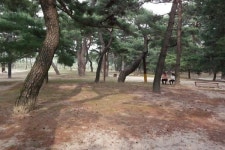 [일상탈출] 화개장터~하동