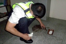 [포토뉴스] 합천경찰서 새끼 고라니 구조