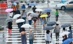 [포토뉴스] 횡단보도 위의 우산 행렬