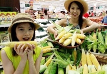 [포토뉴스] 달달한 꿀 옥수수 맛보세요