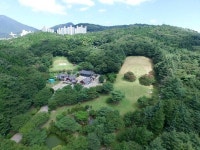 [나무야 놀자] 4. 화지공원 배롱나무
