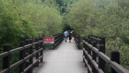 [일상탈출] 울산 언양