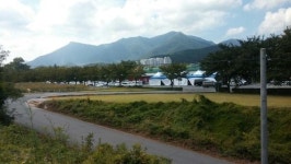 메가마트 언양점 불법도로 개설 4년간 배짱 영업