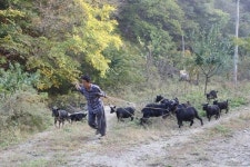 [이재호의 폐사지를 찾아서] 22. 금곡사지