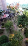 가야초등에 첫 학교 숲