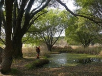 [산&길] <528> 창녕 우포늪 생명길 트레킹