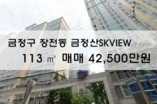 [아파트매매]장전동 금정산SK뷰 113㎡ 매매 42,500만원