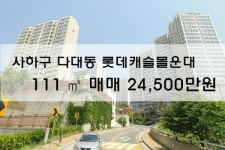 [아파트매매]다대동 롯데캐슬몰운대아파트 111㎡ 매매 24,500만원