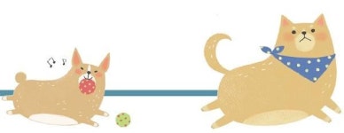 [유기동물을 돕는 사람들] 다 주인님 하기에 달렸습니다, 멍!