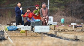 [도시 농부 이야기] 친구 따라 텃밭 갑니다