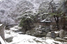 국립중앙도서관 합천 최치원 유적지 탐방