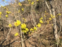 [산&길]  하동 구재봉
