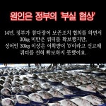 [카드뉴스] 참치어민 하루아침에 범법자 만든 해양수산부
