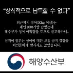 [카드뉴스] 참치어민 하루아침에 범법자 만든 해양수산부