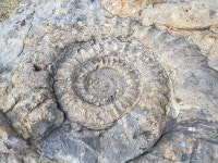 [산&길] <551> 낙동강 에코트레일 - 프롤로그