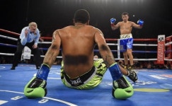 한국계 복서 골로프킨 22연속 KO승 행진