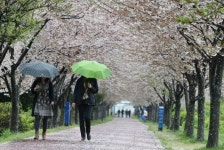 [오늘 날씨] 출근 길 우산 챙기세요 오전부터 비...밤까지 대부분 그쳐