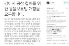 개념배우 송혜교도 TV동물농장 강아지공장 철폐 서명에 힘 실어