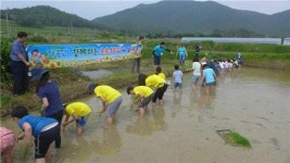 부산 연제구, 가족과 함께하는 농촌체험교실 운영