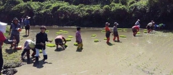 [포토뉴스] 정겨운 공동 손모내기