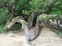 [산&길] <558> 낙동강 에코트레일 5. 청량산 입구~안동 국학진흥원