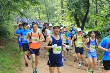 [포토뉴스] 숲길을 달리다