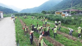 [포토뉴스] 농촌 일손 돕기 봉사활동