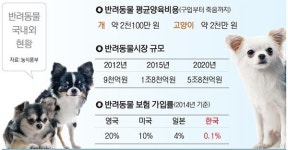 반려동물도 경매·온라인 매매 길 열린다