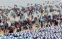 [비치 부산] 인산인해 해운대보다 광안리 피서객 더 많다고?