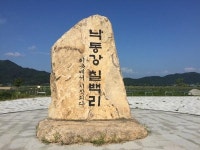 [산&길] <564> 낙동강 에코트레일 9. 예천 풍지교~상주 경천교
