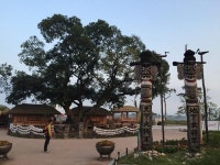 [산&길] <571> 낙동강 에코트레일 13. 화원유원지~고령 개호정