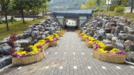 합천 대장경테마파크, 팔만 송이 국화전시회