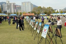 제6회 부산진구 북(BOOK) 페스티벌