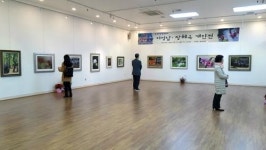 부산진구, 부산진갤러리 작가 작품 전시회 개최