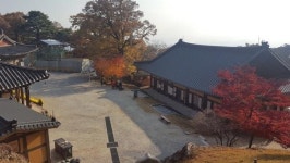 가을에 걷기 좋은… 구미 금오산 올레길